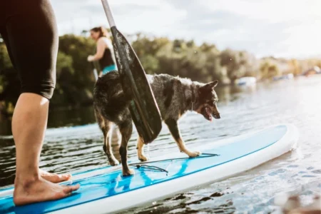 woman and dog on a SUP paddleboard